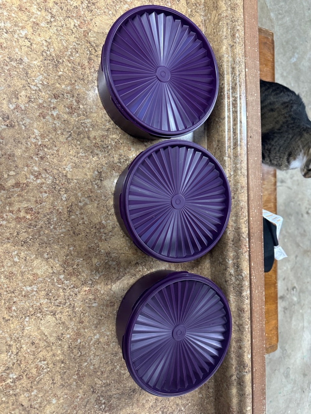 Set of 3 Purple Round Tupperware Storage Containers